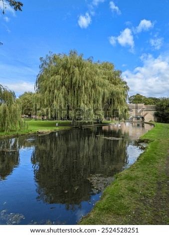 Willow tree beside the bourne Eau river at Bourne, Lincolnshire, England.