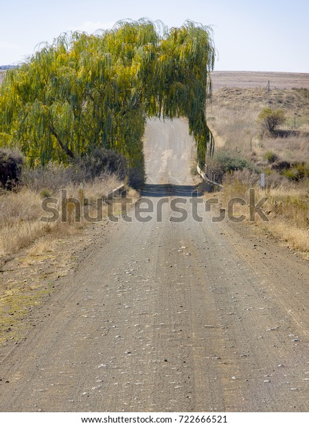 View Willow Tree Cross Background