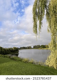 A willow tree gracefully drapes its branches over the lake in Ottawa, creating a serene scene of nature's tranquility.
