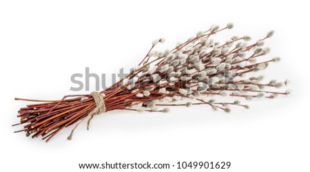 Willow twigs on a white background