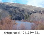 Willows and cottonwoods line the banks of the Yakima River in Washington State, as the walls of the Yakima River Canyon rise far above the bottomland of the canyon.