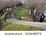 Willows road to the river 