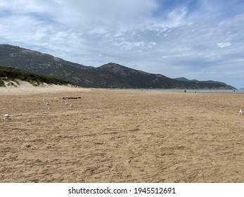 Wilsons Promontory National Park Images