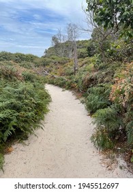 Wilsons Promontory National Park Images