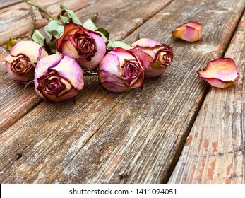 Wilted roses on wooden floor.