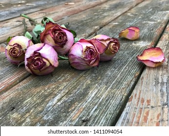 Wilted roses on wooden floor.