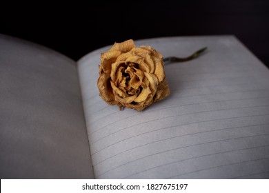 Wilted yellow rose lying on notebook empty page on a dark background with space for text. Loss, death or sadness concept