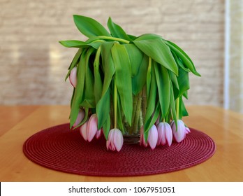 Wilting pink tulips in a vase