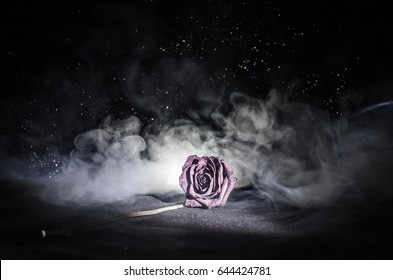 A wilting rose signifies lost love, divorce, or a bad relationship, dead rose on dark background with smoke