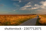 Wiltshire England. Golden hour over the Ridgeway long distance path.