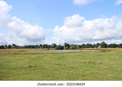 Wimbledon Common Lake In Summer