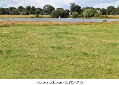 Wimbledon Common Lake In Summer