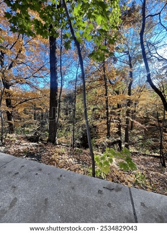 The winchell trail in Minnesota 
