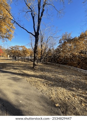The winchell trail in Minnesota 