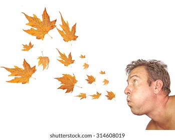 Wind Blowing, Autumn Leaves, Man Face