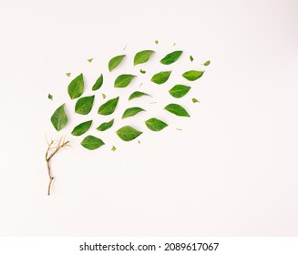 Wind blowing off green leaves from a small tree on a beige wet background. Spring, fall, rain minimal concept.