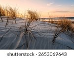 Wind blown grass on sand dune