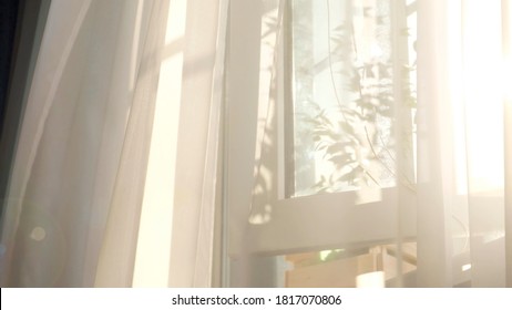 wind blows through the open window in the room. Waving white tulle near the window. Morning sun lighting the room, shadow background overlays. - Shutterstock ID 1817070806