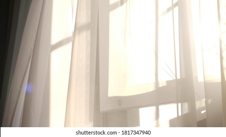 wind blows through the open window in the room. Waving white tulle near the window. Morning sun lighting the room, shadow background overlays.