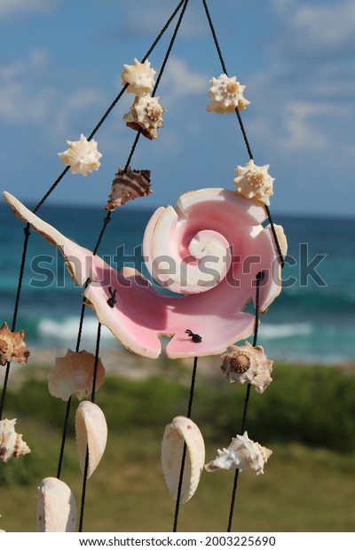 Wind Chime with Sea\
Shells