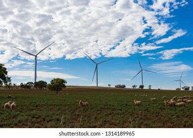 Wind farm generating green energy