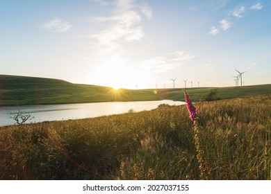 Wind farm and a lake at sunset. Natural clean energy, environmental conservation concept. Upper Lliw reservoir from Brynllefrith Plantation, Wales, the United Kingdom. Using wind power in the UK - Shutterstock ID 2027037155