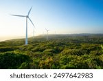 A wind farm located in Albany Western Austalia