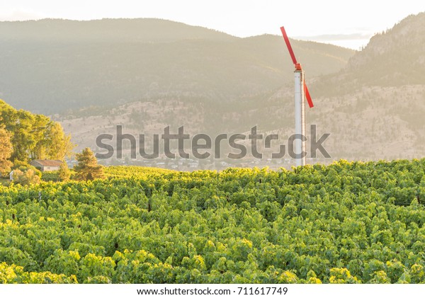 Wind Machine in\
Vineyard Landscape at\
Sunset	