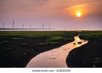 Wind Power In Gaomei Wetland