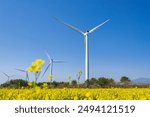 A wind power generator behind a wide rape flower field, Mt. Halla, Jeju Island, Korea