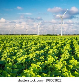 Wind power station on field. Ecological energy concept - Shutterstock ID 198083822