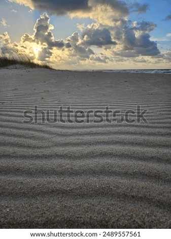 wind ripples in the sand