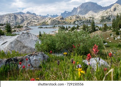 Wind River Colors