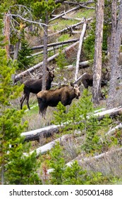 Wind River Range