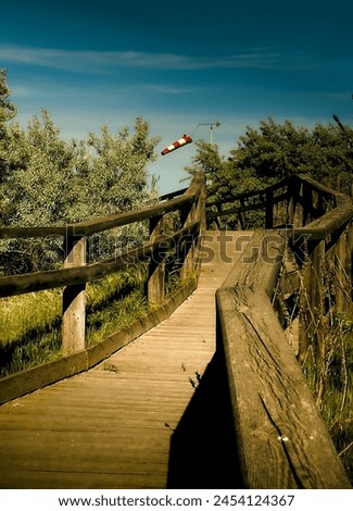 Similar – Image, Stock Photo Little girl jumping on a path of wooden boards in a wetland