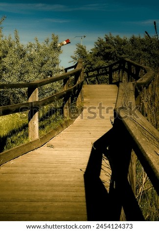 Similar – Image, Stock Photo Little girl jumping on a path of wooden boards in a wetland