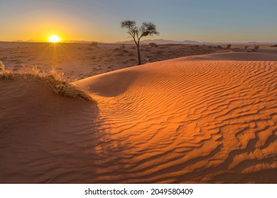 Wind swept patterns on red sand dune Namibia