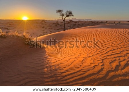 Wind swept patterns on red sand dune Namibia