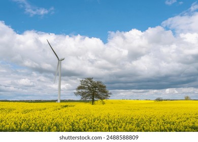 Wind Turbine in Field of Yellow Flowers Under Cloudy Sky - Powered by Shutterstock