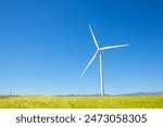 Wind turbine generators for renewable electrical energy production
