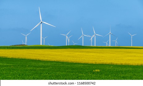 Wind turbine in a yellow flower field of rapeseed - Powered by Shutterstock