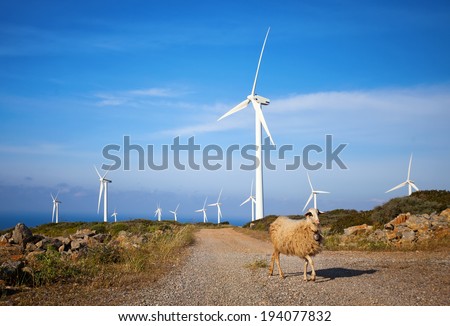 Wind turbines, the fastest-growing source of electricity production in the world, and sheep in foreground