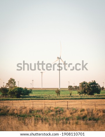 wind turbines in the field