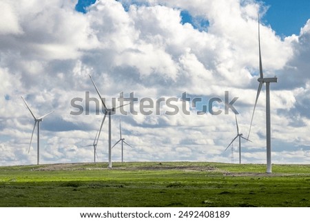 wind turbines in a field against a background of blue sky with clouds, wind farm, Kola peninsula, power plant, windmill