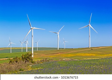 Wind Turbines in flowering fields in spring, South Africa - Powered by Shutterstock