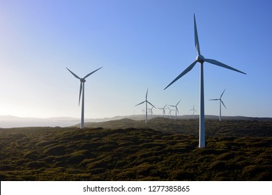 Wind turbines in a natural farm in Australia. Ecological technology.