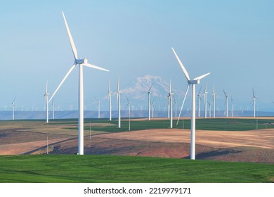 Wind Turbines On Columbia Plateau Near Wasco, Oregon. Mount Adams Is In The Distance