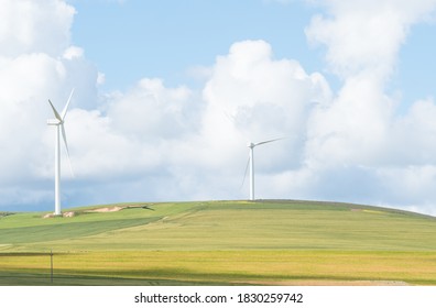 Wind Turbines On A Sheep Farm In The Overberg Region Of South Africa Concept Technology In Africa