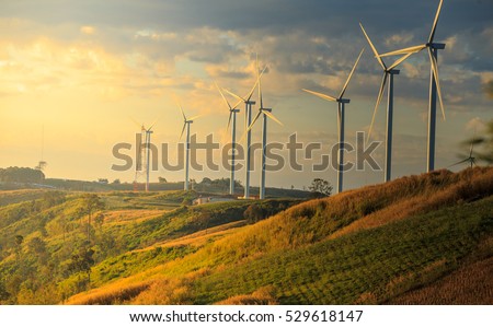 Wind turbines on sunny morning