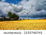 Wind turbines in a rapeseed field near Torrild, Denmark